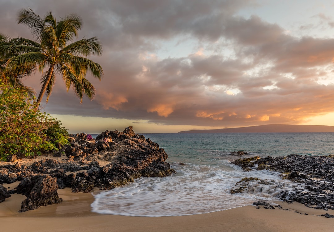 Oceran, trees and rocks make a beautiful seascape