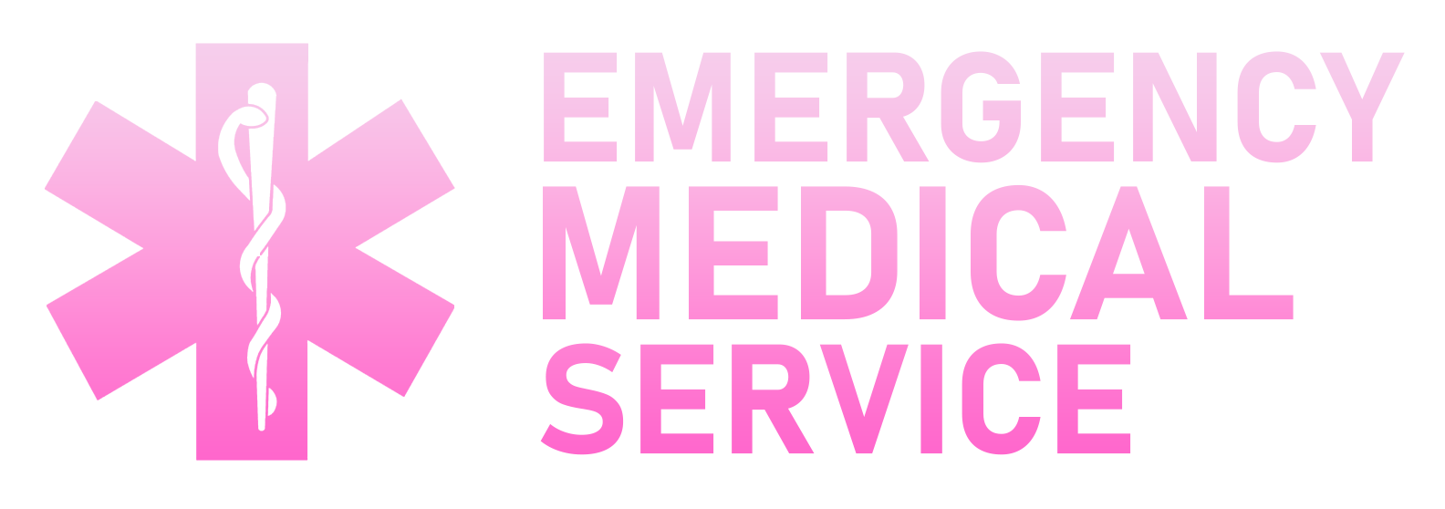 Emergency Medical Services || Внутренний устав | GTA 5 RP — Форум