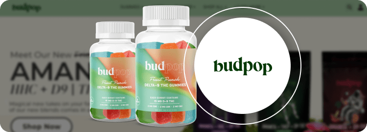 BudPop Fruit Punch Delta 9 THC Gummies