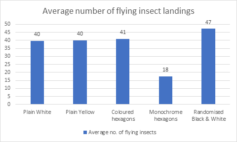 A graph of flying insects

Description automatically generated