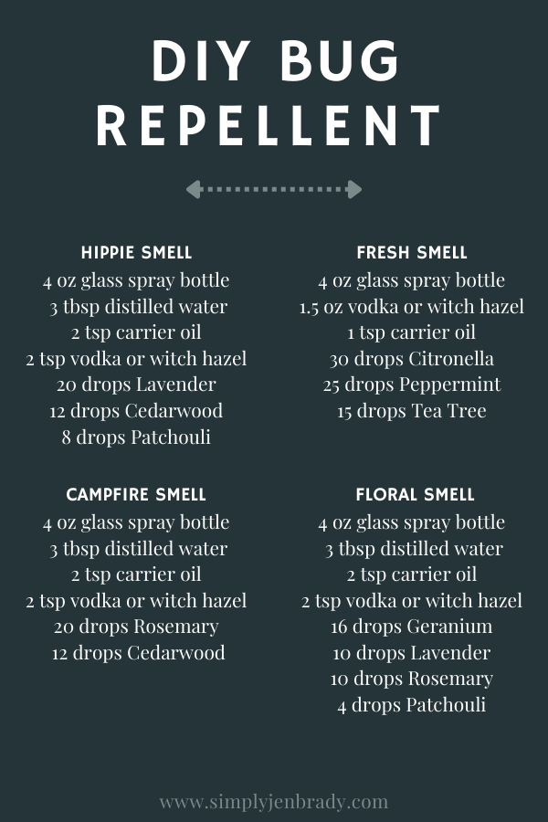 Looking for a insect repellent for your home? Look no further.  Here are 4 natural recipes to try.