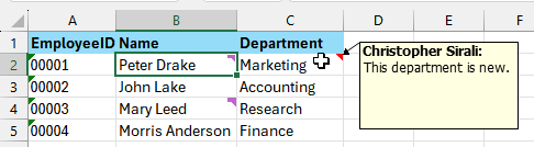 Notes in Excel