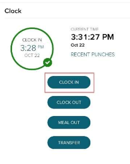 Clocking In On ADP App on iPhone