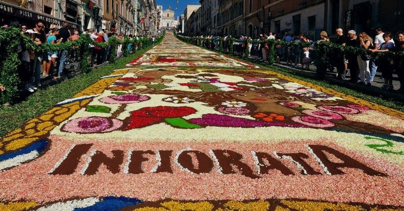 Flower Carpets