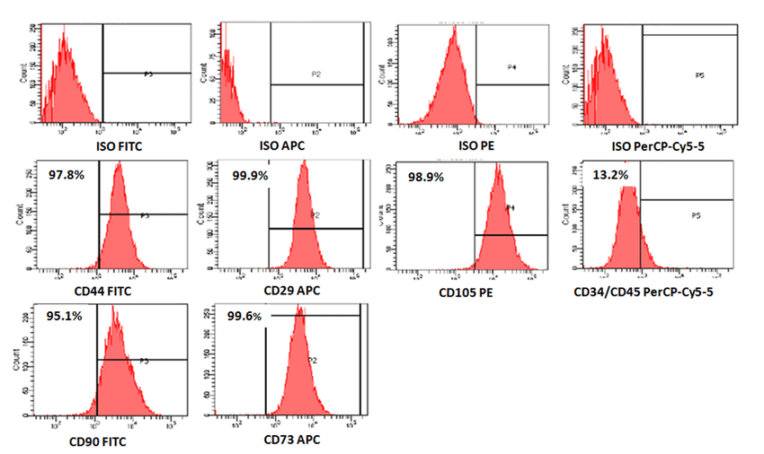 10 histograms with different fluorescent markers from a flow cytometry experiment.