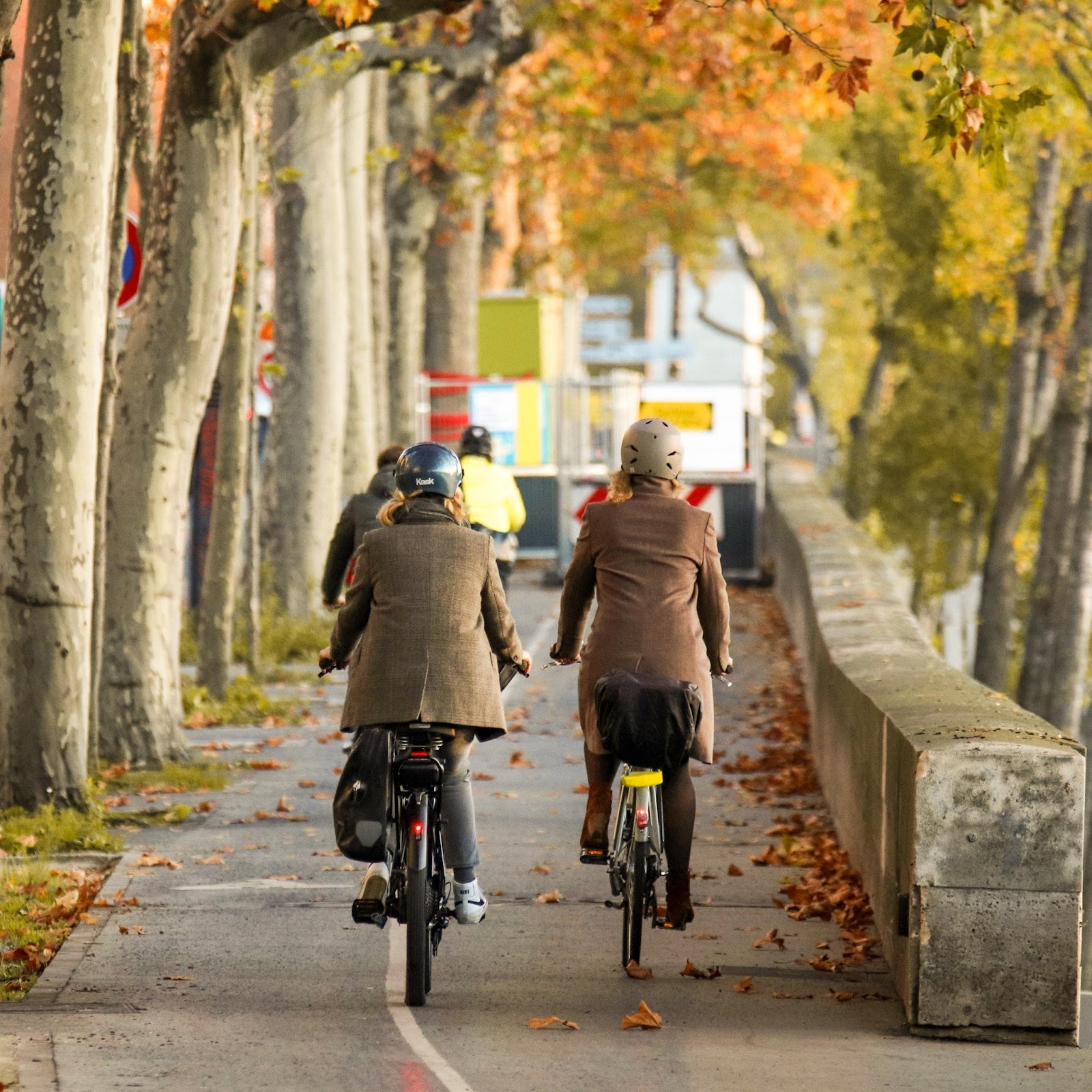 People using bicycles as a mode of transportation