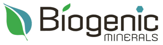 A black and brown logo with green leaves Description automatically generated