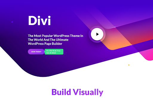 SEO-Optimized WordPress Themes Divi