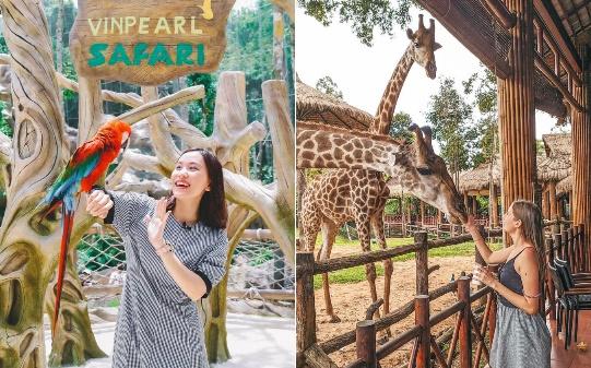 Vinpearl Safari Phú Quốc: Vườn Thú Bán Hoang Dã Đầu Tiên Việt Nam!