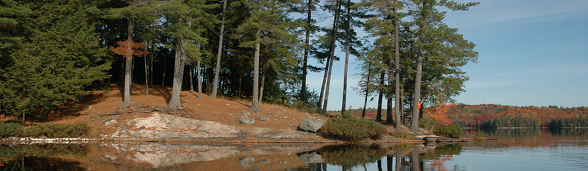Waterfront in the Kawartha Highlands Provincial Park, one of Ontario's largest Provincial Parks