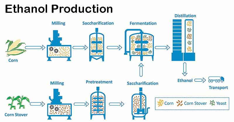 Ethanol Production | Biotechnology | The Biology Notes