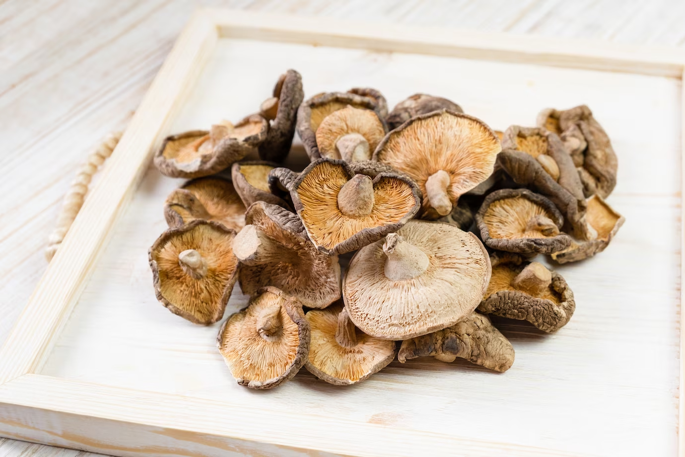 Come conservare i galletti per l'inverno?