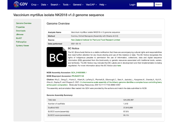 Screenshot of GDV website showing the entry for “Vaccinium myrtillus isolate NK2018 v1.0 genome sequence.” The BC Notice icon, a black square with “BC” written in white, is prominent in the center.