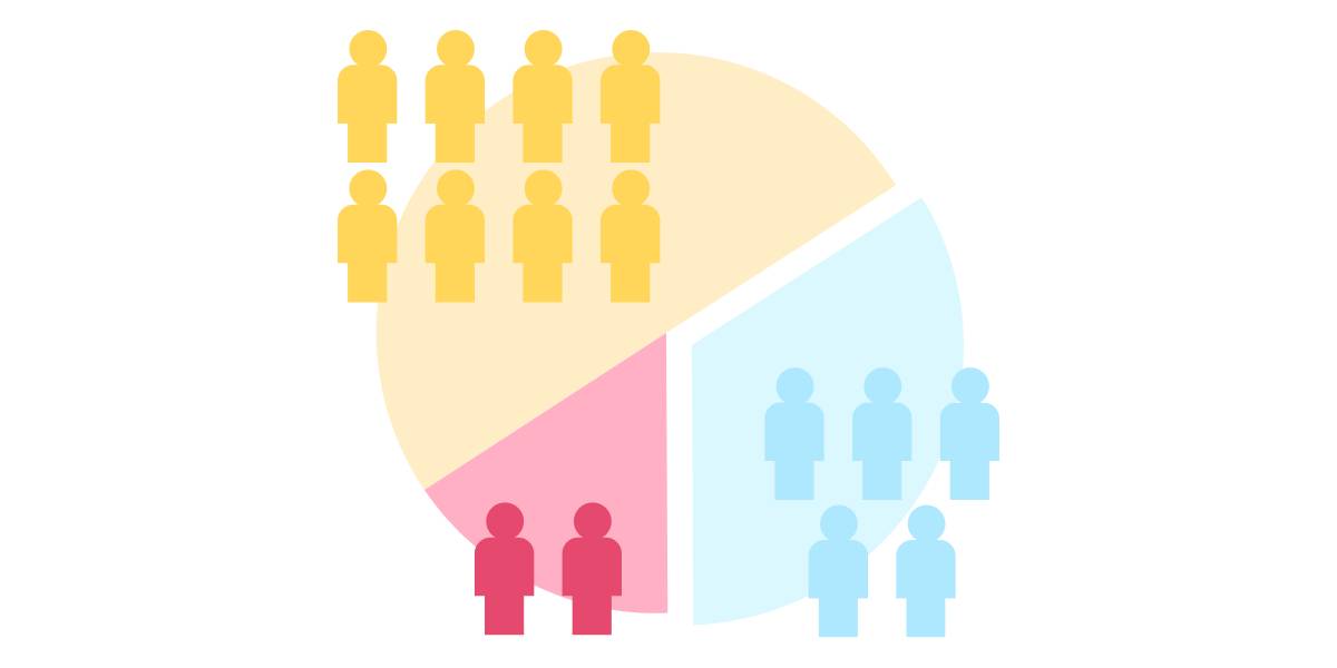 A graphic of a pie chart that represents audience segmentation within the competitor market definition.