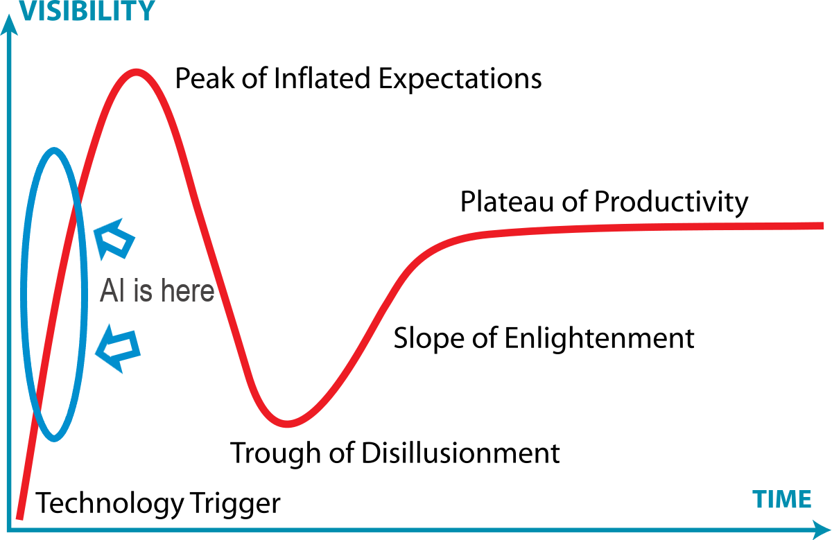 The Gartner Hype Cycle