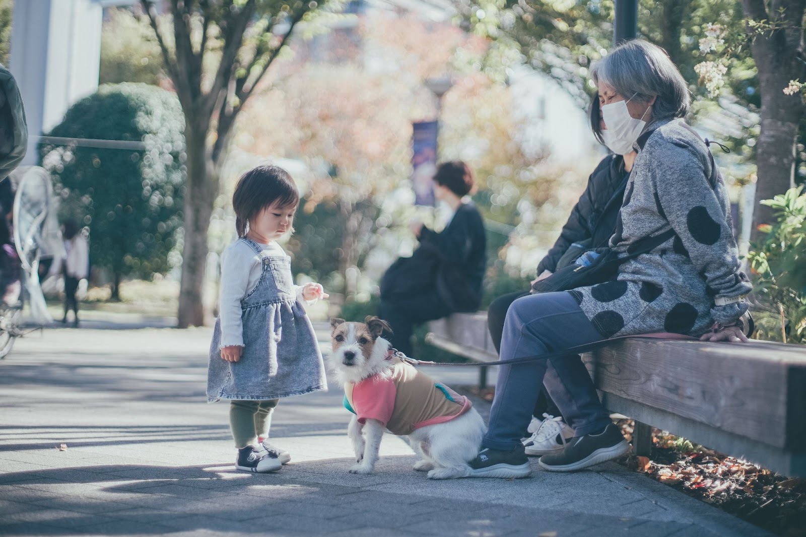 秋の子供と犬