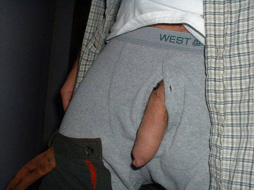 flaccid uncut dick peeking through the front slit of grey boxer briefs