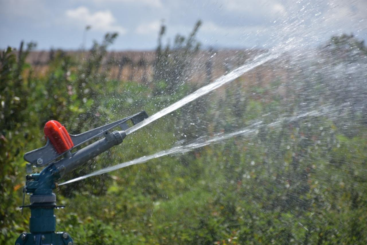 Practice the drip irrigation method.