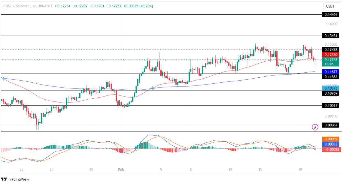 Ocean Protocol Price Analysis