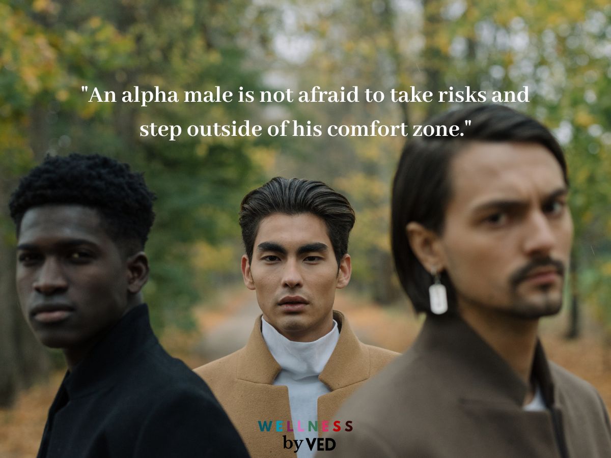 alpha male quotes 