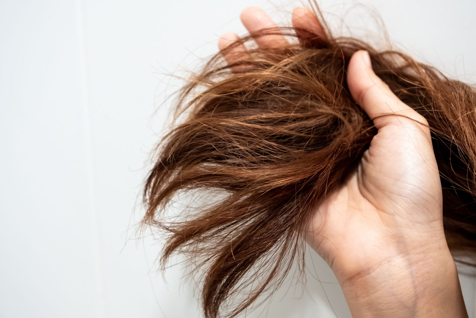 Heat Damaged hair