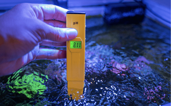 water temperature for fish aquarium