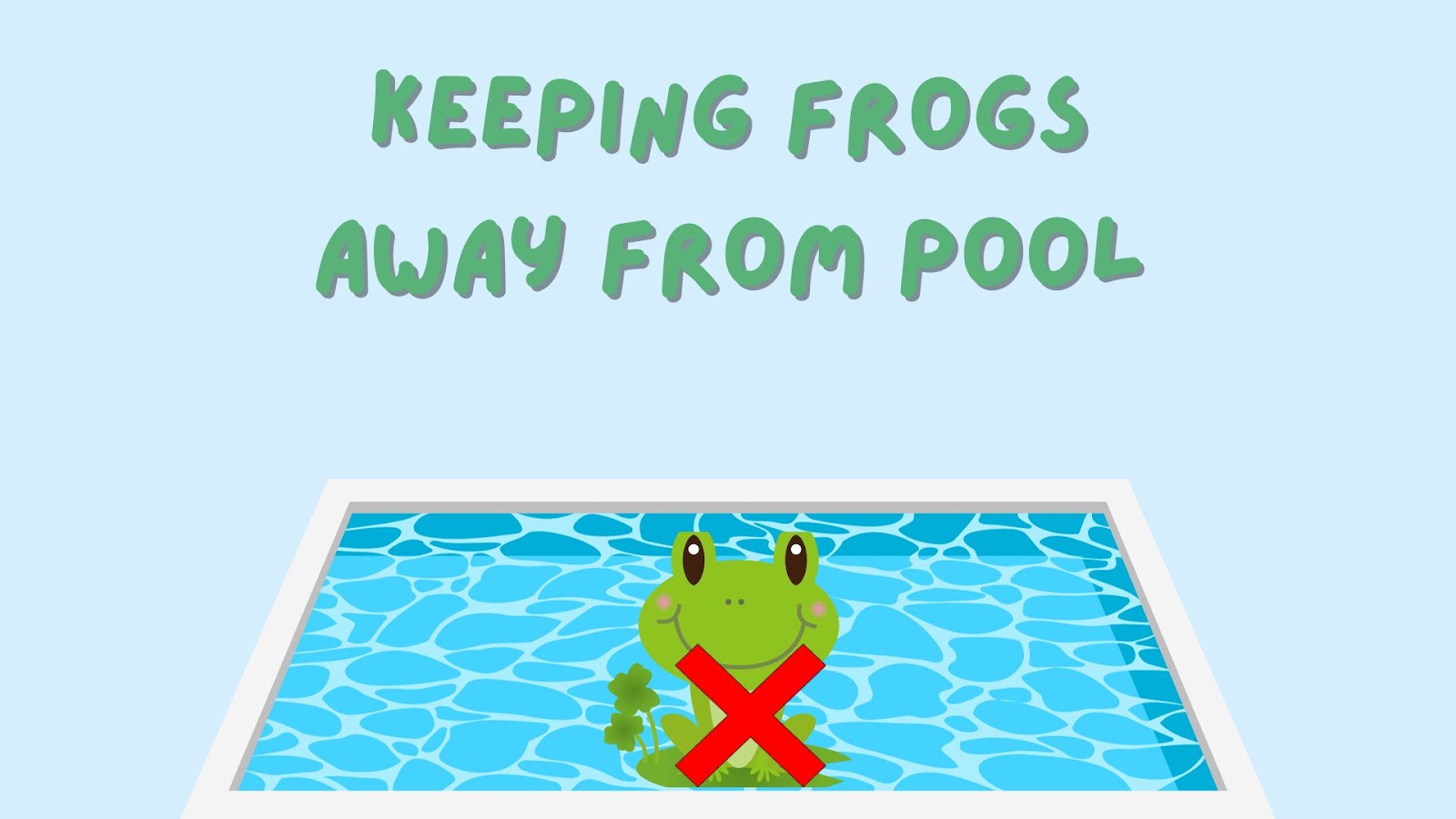 How to Keep Frogs Away From Pool