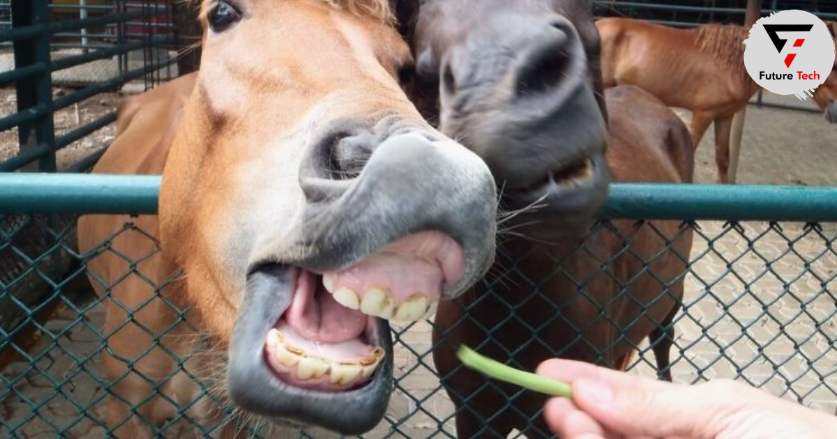 How to Give Celery to Your Horse Without Endangering Her Health