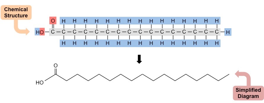 fatty acid