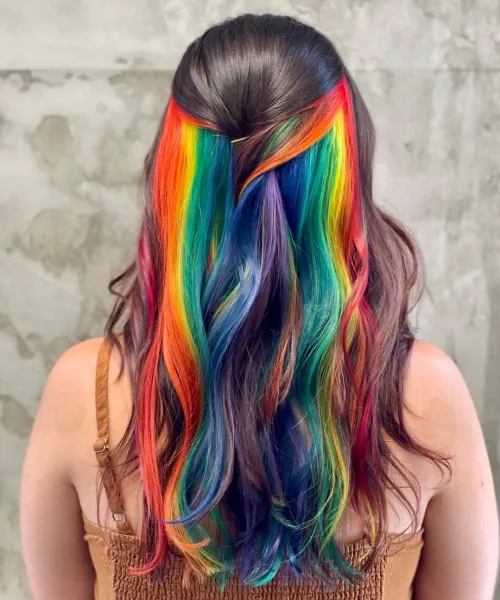 Hair Dye Ideas: Back view of a rain bow hair
