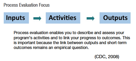 Process Evaluation Focus. For a more in-depth description, see the appendix.