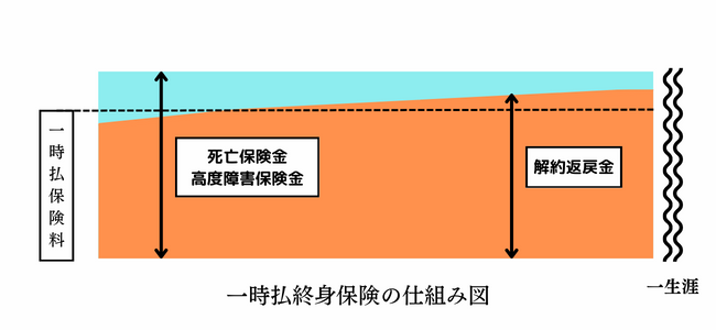 一時払終身保険の主な仕組み図