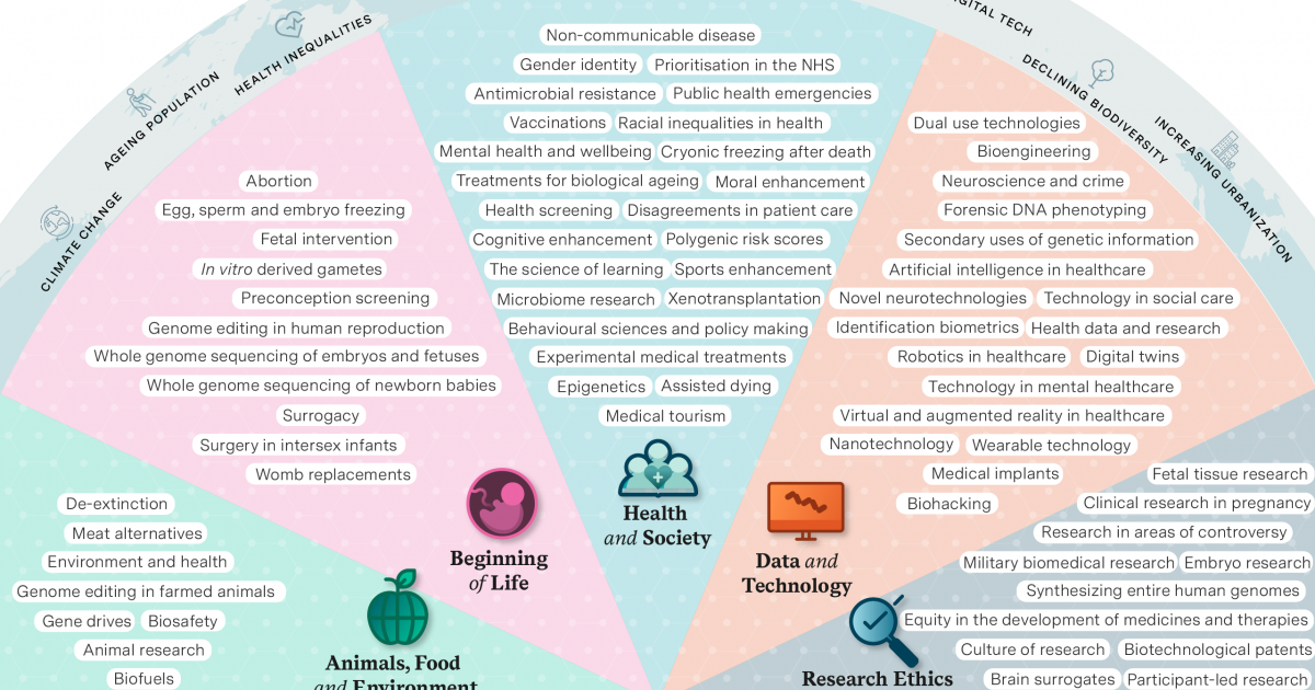 Health Horizons Chart Medicine