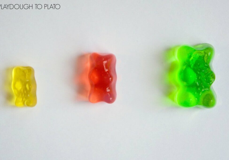 Growing-Gummy-Bears-Cool-candy-science-experiment-for-kids.-1024x682.jpg