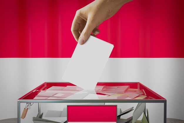 Ballot Bliss Your Guide To Politics