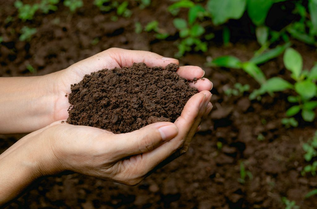 Majot Soil Types | Alluvial Soil | UPSC
