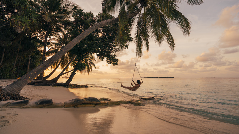 Voyage Vibes Vacation Ventures