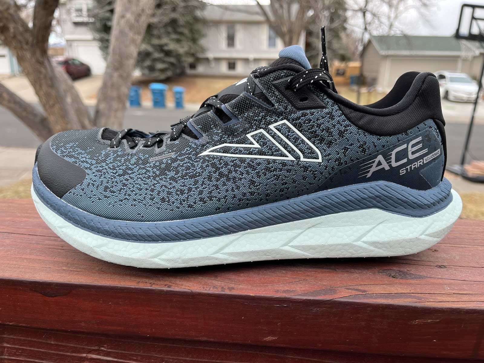 Road Trail Run: VJ Shoes Ace Review: Bring on Ice! 4 Comparisons