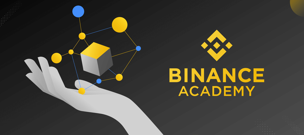 Bibance Academy обзор