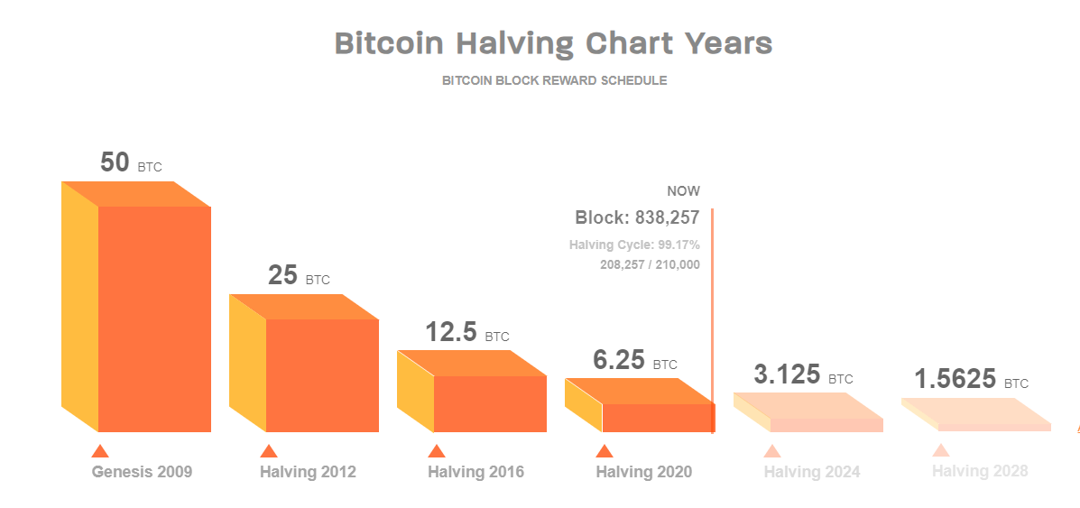 bitcoin halving rewards
