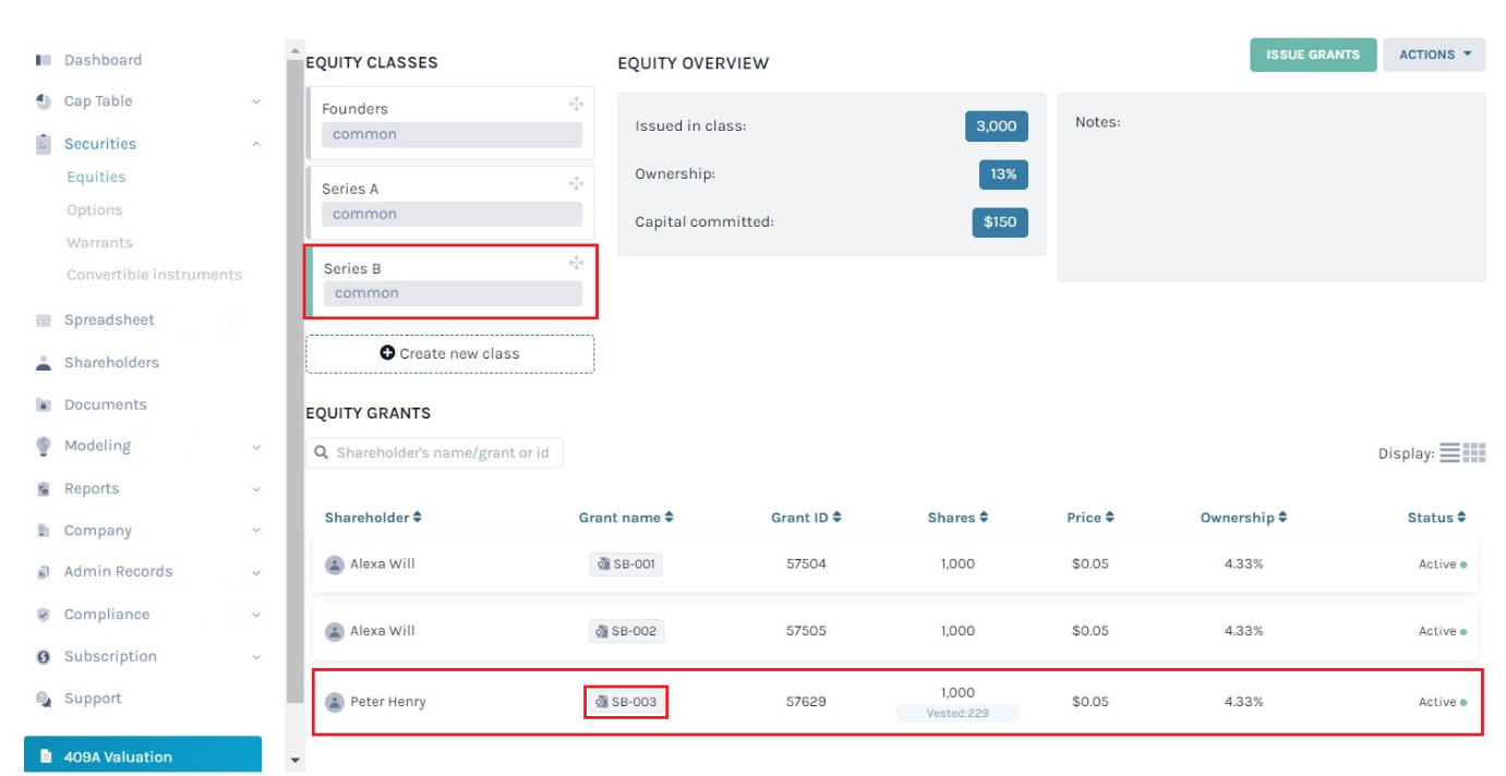 view equity grants 