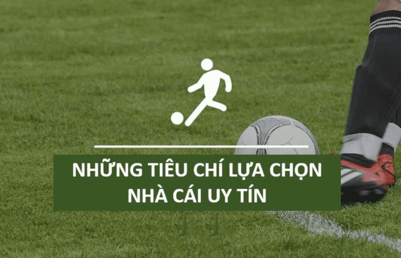 6686vn.app - Nha cai uy tin giải trí và cá cược hàng đầu