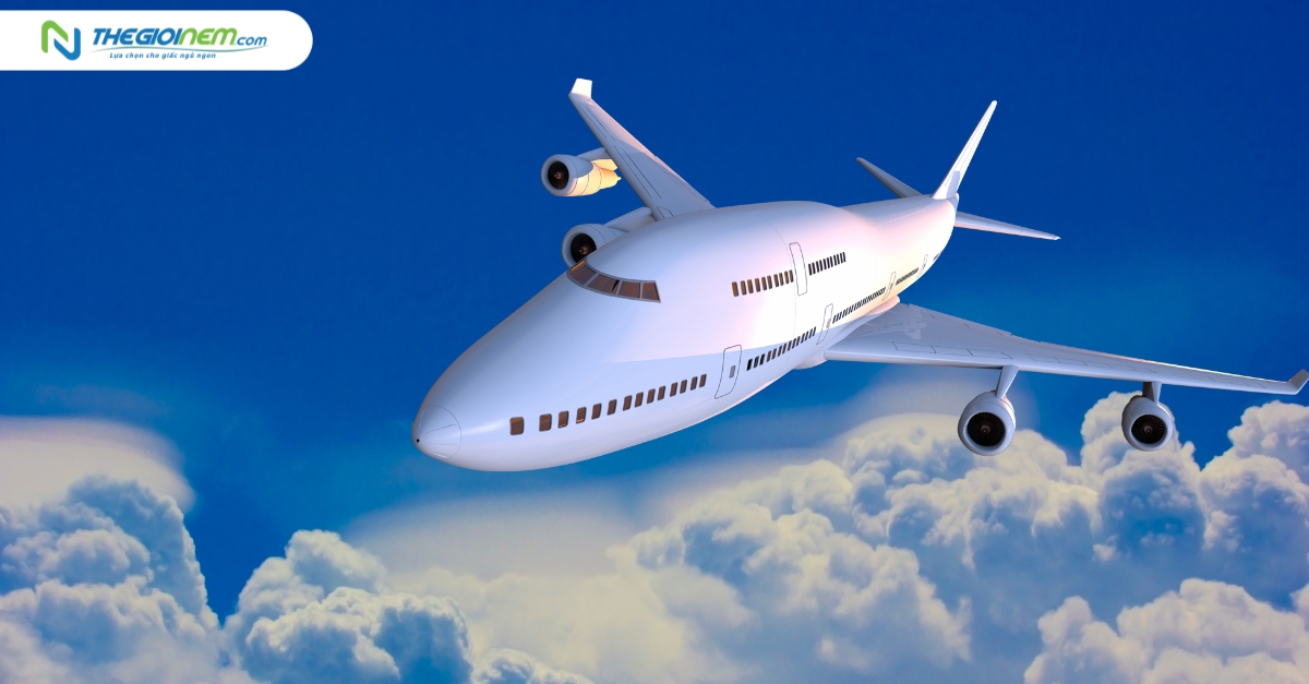 Vé máy bay Tết 2024: lịch mở bán, giá vé của các hãng hàng không