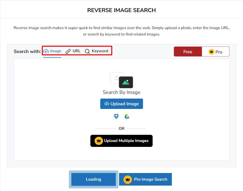 reverse image search