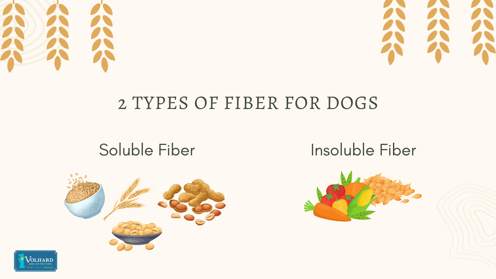 2 types of fiber for dogs