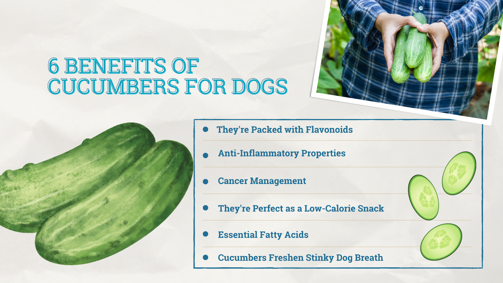 6 benefits of cucumbers for dogs
