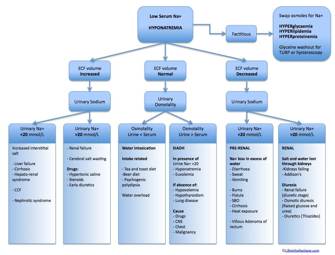 https://i0.wp.com/lifeinthefastlane.com/wp-content/uploads/2010/06/Hyponatraemia-Flow1.jpg?ssl=1