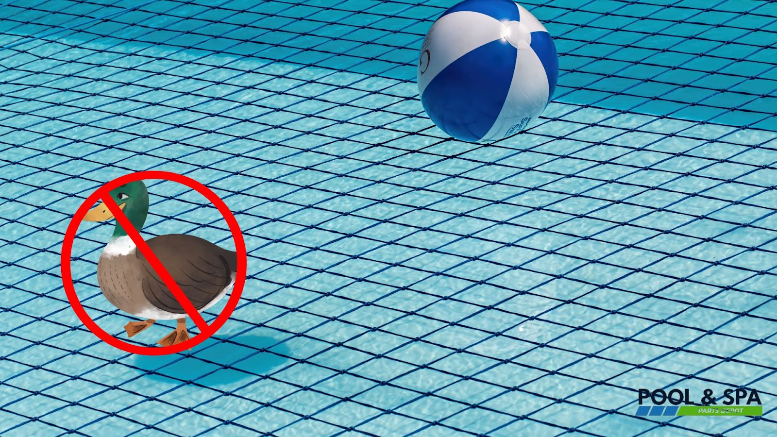 Use Bird Netting to Keep Ducks Away From Pool