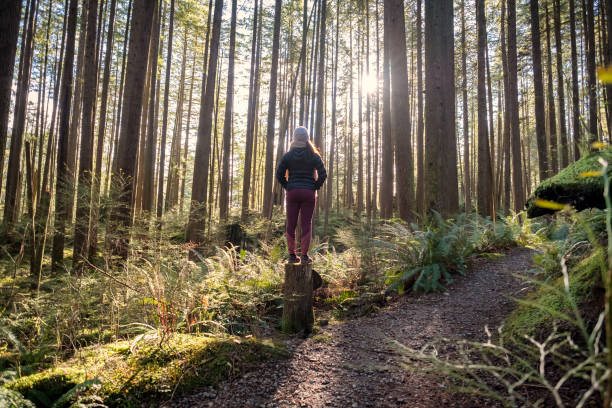 forest bathing