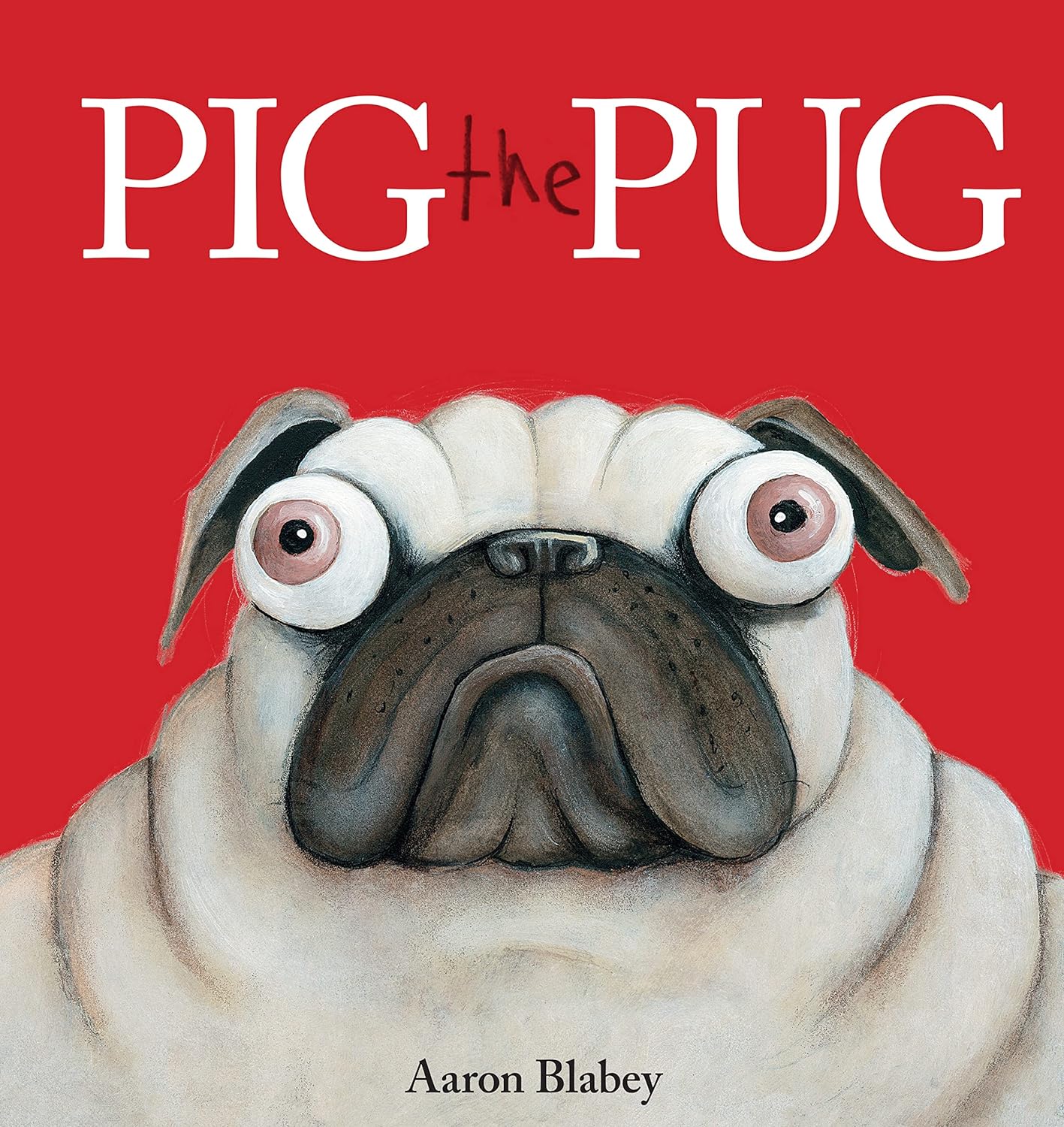 image of pig the pug